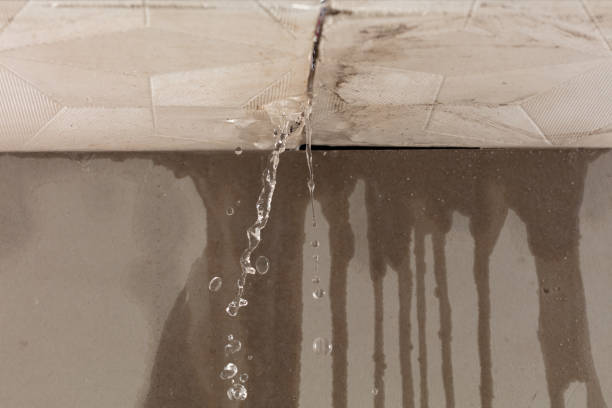 Professional Water Damage Repair technician working in Milbridge, ME